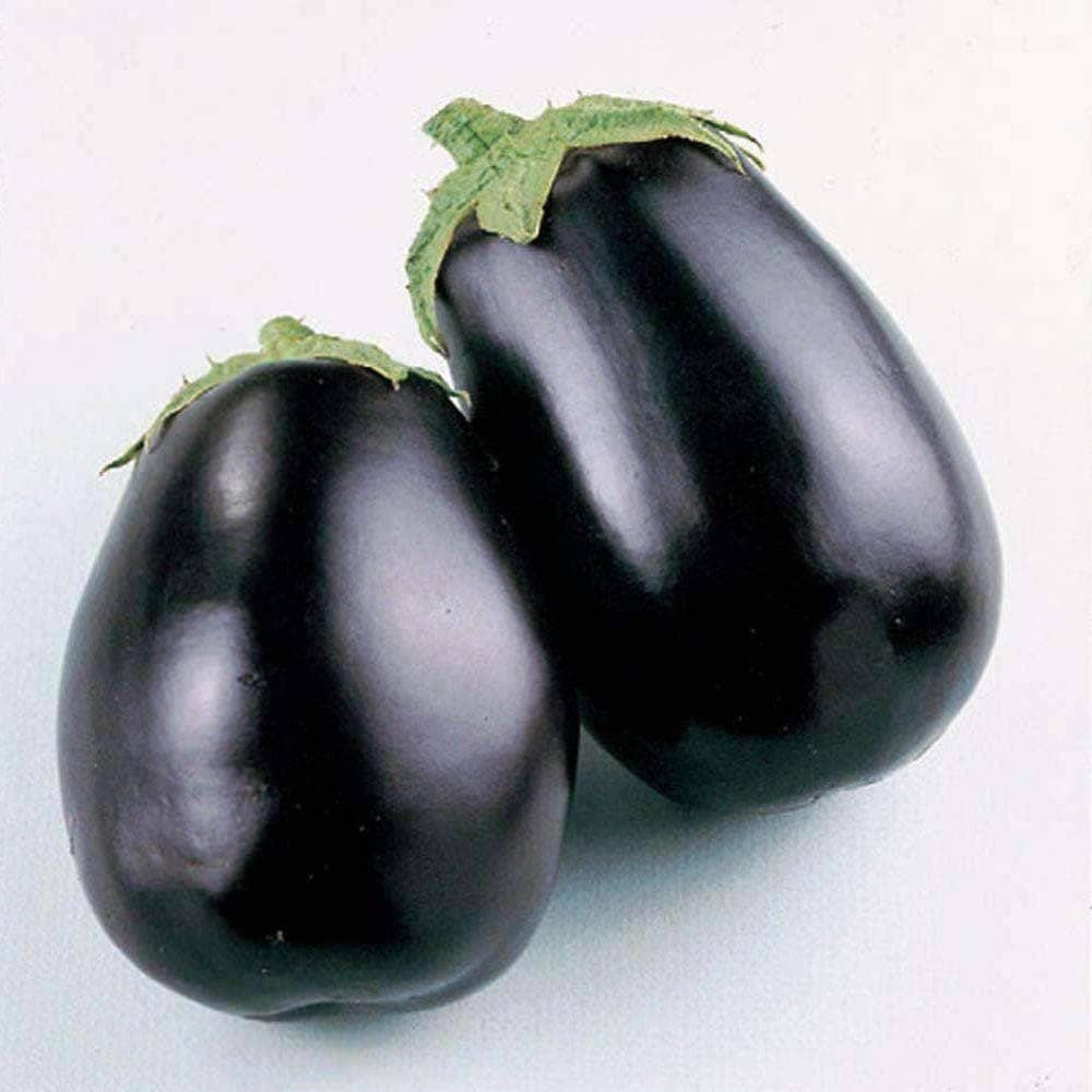 Black Beauty Eggplant Seeds (250mg) - My Patriot Supply
