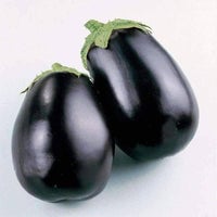 Thumbnail for Black Beauty Eggplant Seeds (250mg) - My Patriot Supply