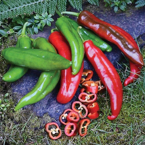 Image of Anaheim Hot Pepper Seeds (250mg) - My Patriot Supply