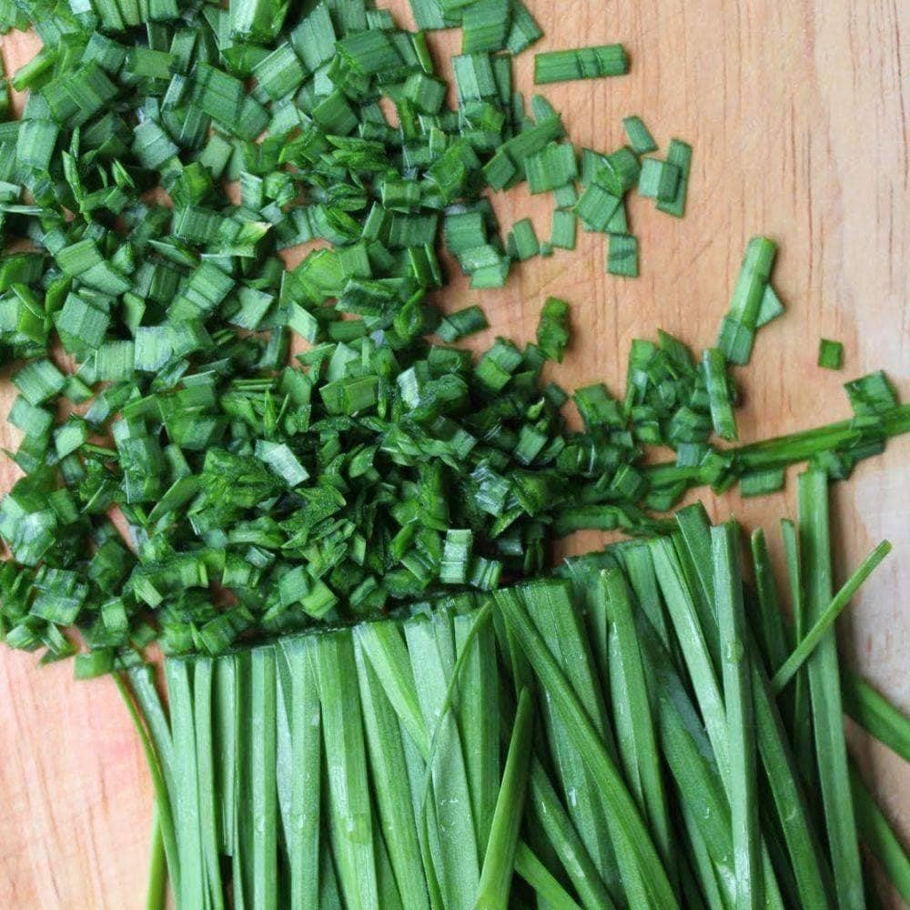 Organic Standard Chive Herb Seeds (500mg) - My Patriot Supply