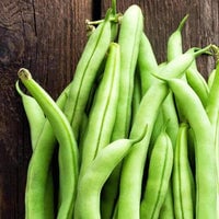 Thumbnail for Contender Bush Beans (20g) - My Patriot Supply