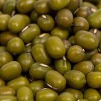 Thumbnail for Organic Mung Bean Sprouting Seeds by Patriot Seeds (4 ounces)