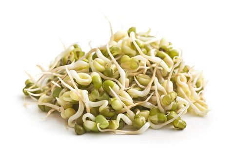 Image of Organic Mung Bean Sprouting Seeds by Patriot Seeds (4 ounces)