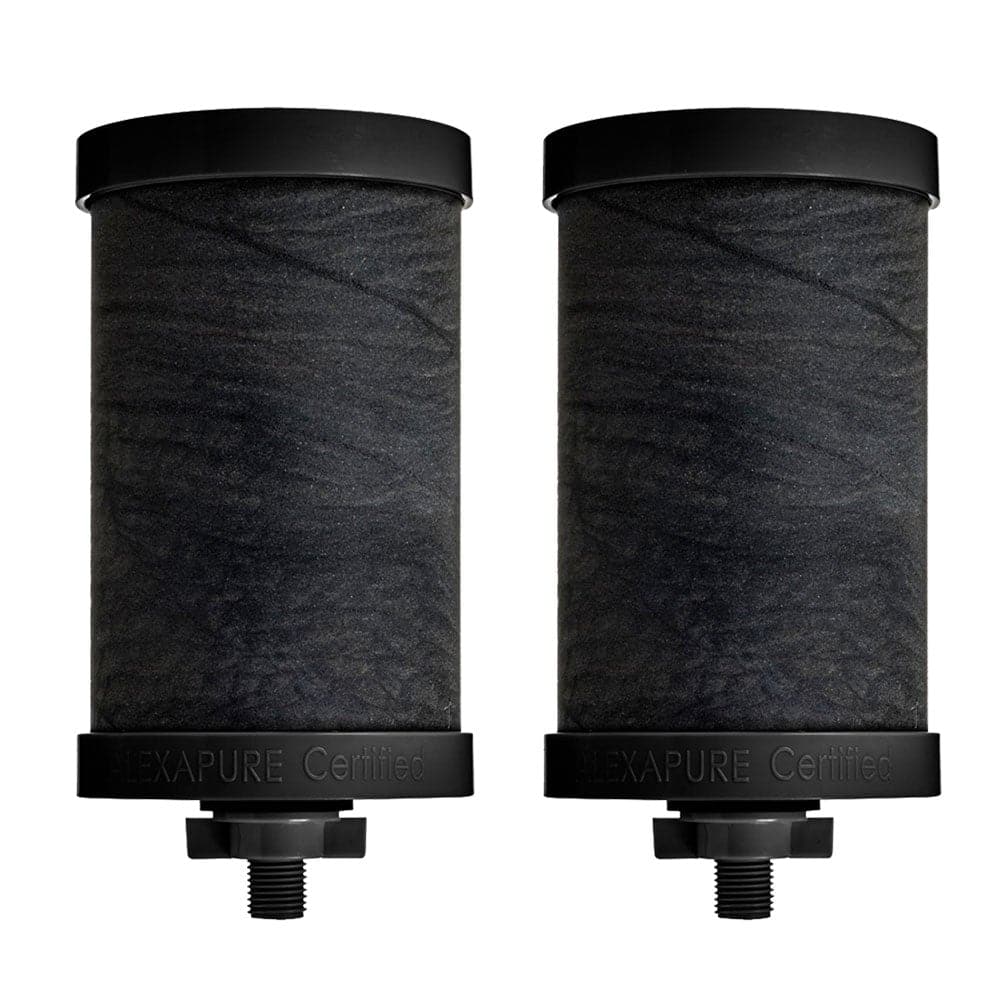 Alexapure Pro Water Filtration System Plus 2 FREE Filters