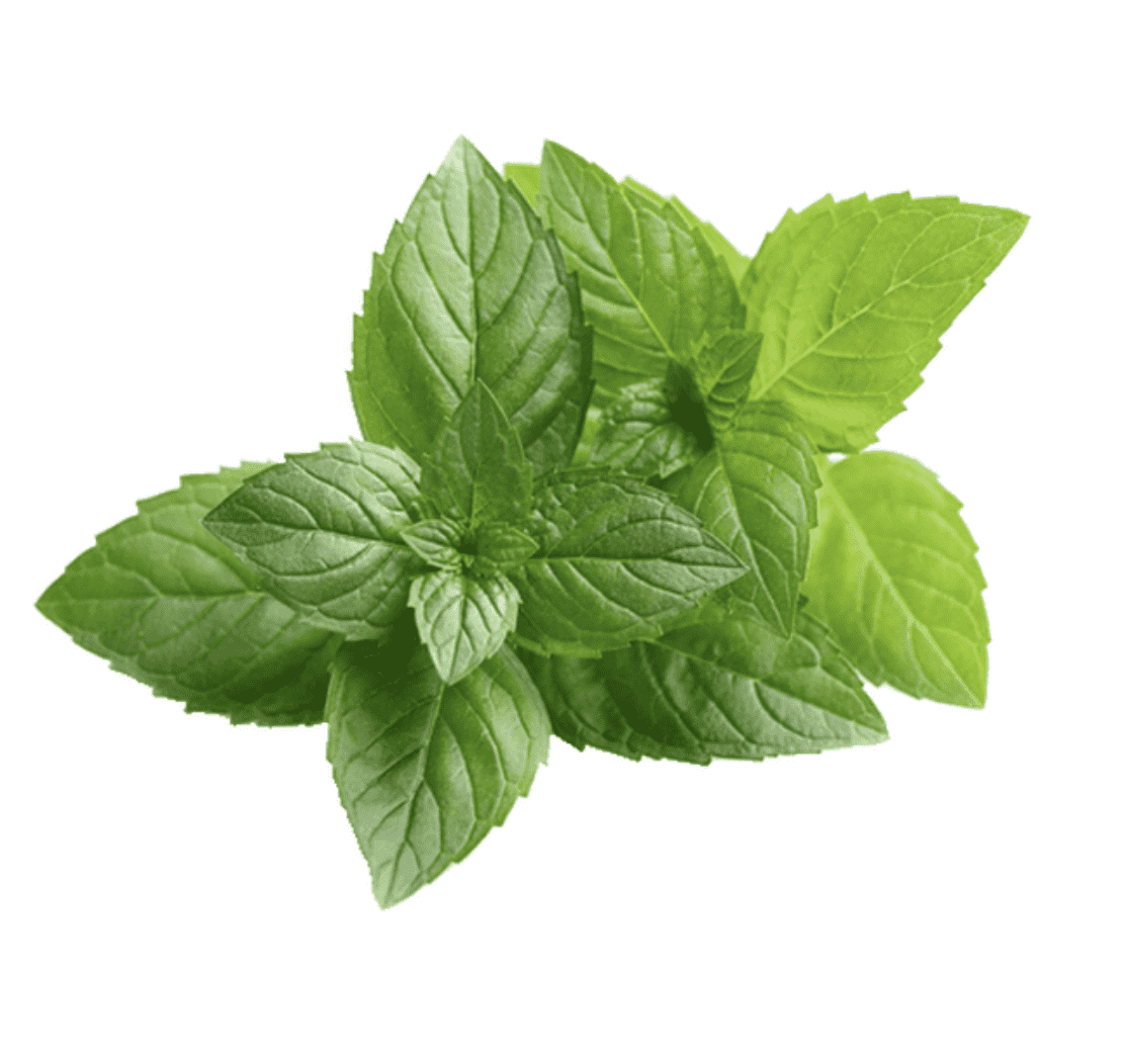 Natural Tooth Powder - Mint Flavor (1 ounce) - My Patriot Supply