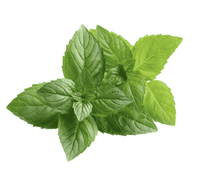 Thumbnail for Natural Tooth Powder - Mint Flavor (1 ounce) - My Patriot Supply