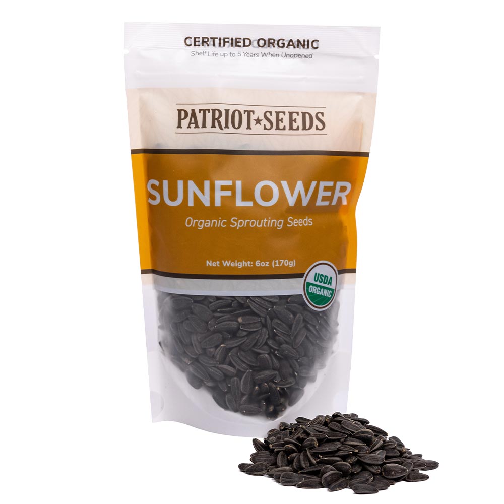 Organic Sunflower Sprouting Seeds by Patriot Seeds (6 ounces)