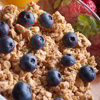 Thumbnail for Quick Oats #10 Can (22 servings)