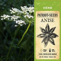 Thumbnail for Anise Herb Seeds (500mg) - My Patriot Supply