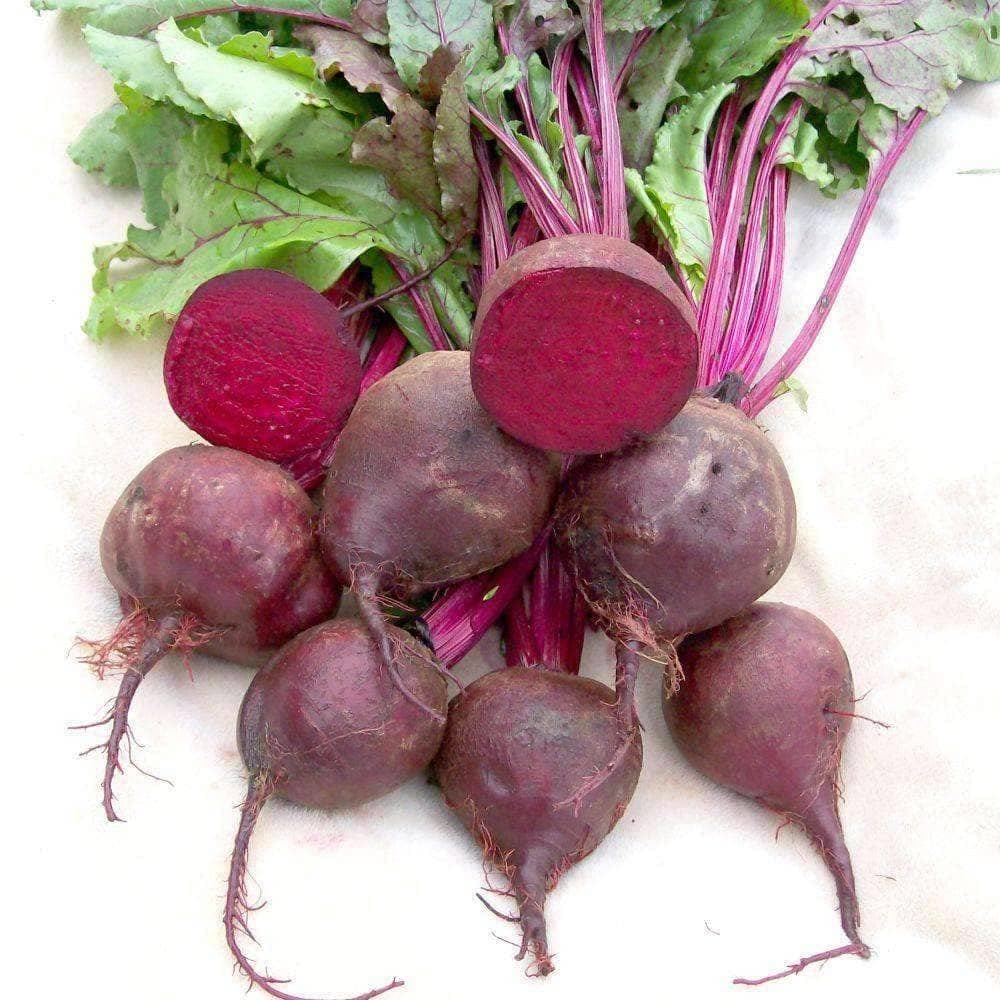 Organic Detroit Dark Red Beet Seeds (2.5g) - My Patriot Supply