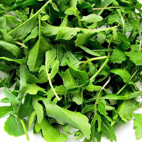 Image of Arugula Herb Seeds (1g) - My Patriot Supply