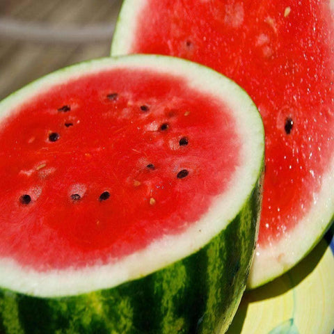 Discontinued - Organic Crimson Sweet Watermelon Seeds (2g) - My Patriot Supply