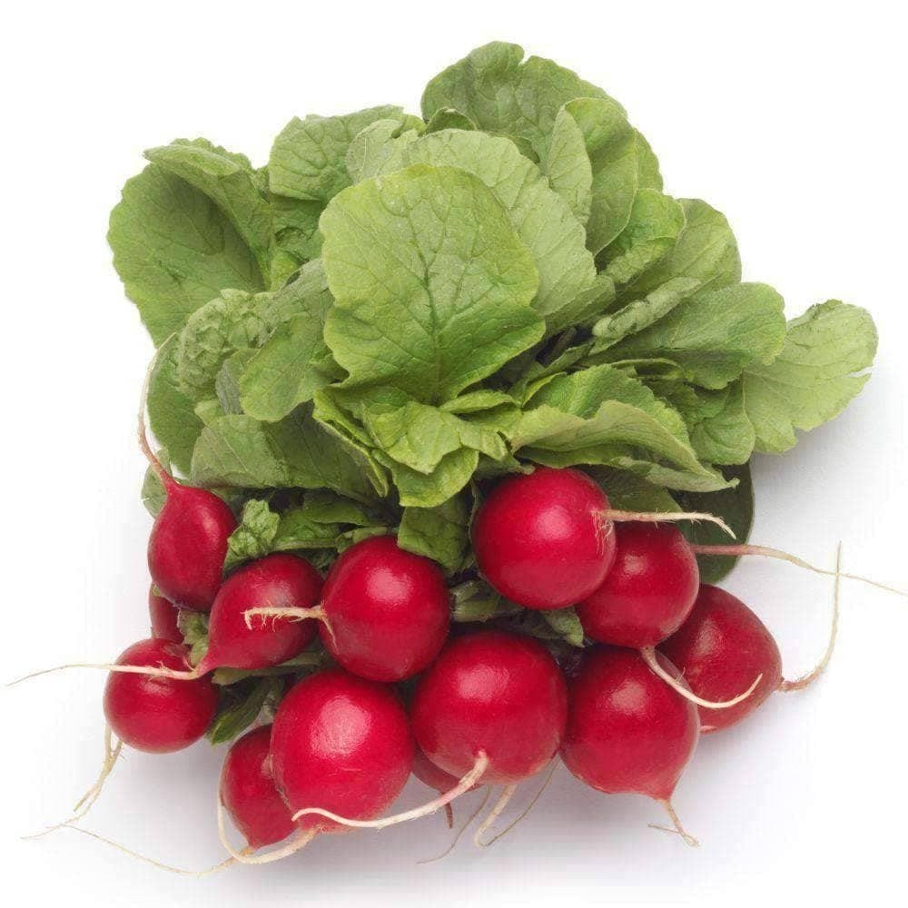 Organic Champion Radish Seeds (3g) - My Patriot Supply
