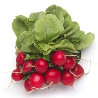 Thumbnail for Organic Champion Radish Seeds (3g) - My Patriot Supply