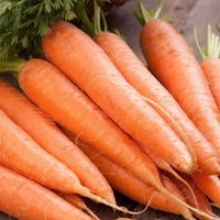 Thumbnail for Organic Scarlet Nantes Carrot Seeds (250mg) - My Patriot Supply