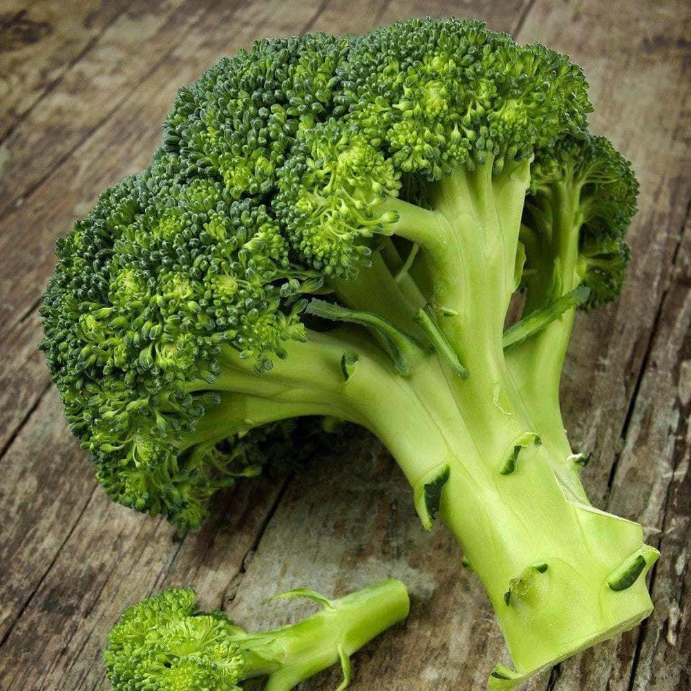  Waltham 29 Broccoli Seeds (1g) - My Patriot Supply