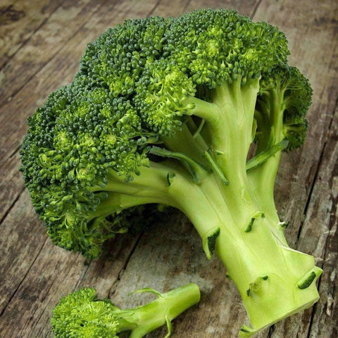 Image of  Waltham 29 Broccoli Seeds (1g) - My Patriot Supply