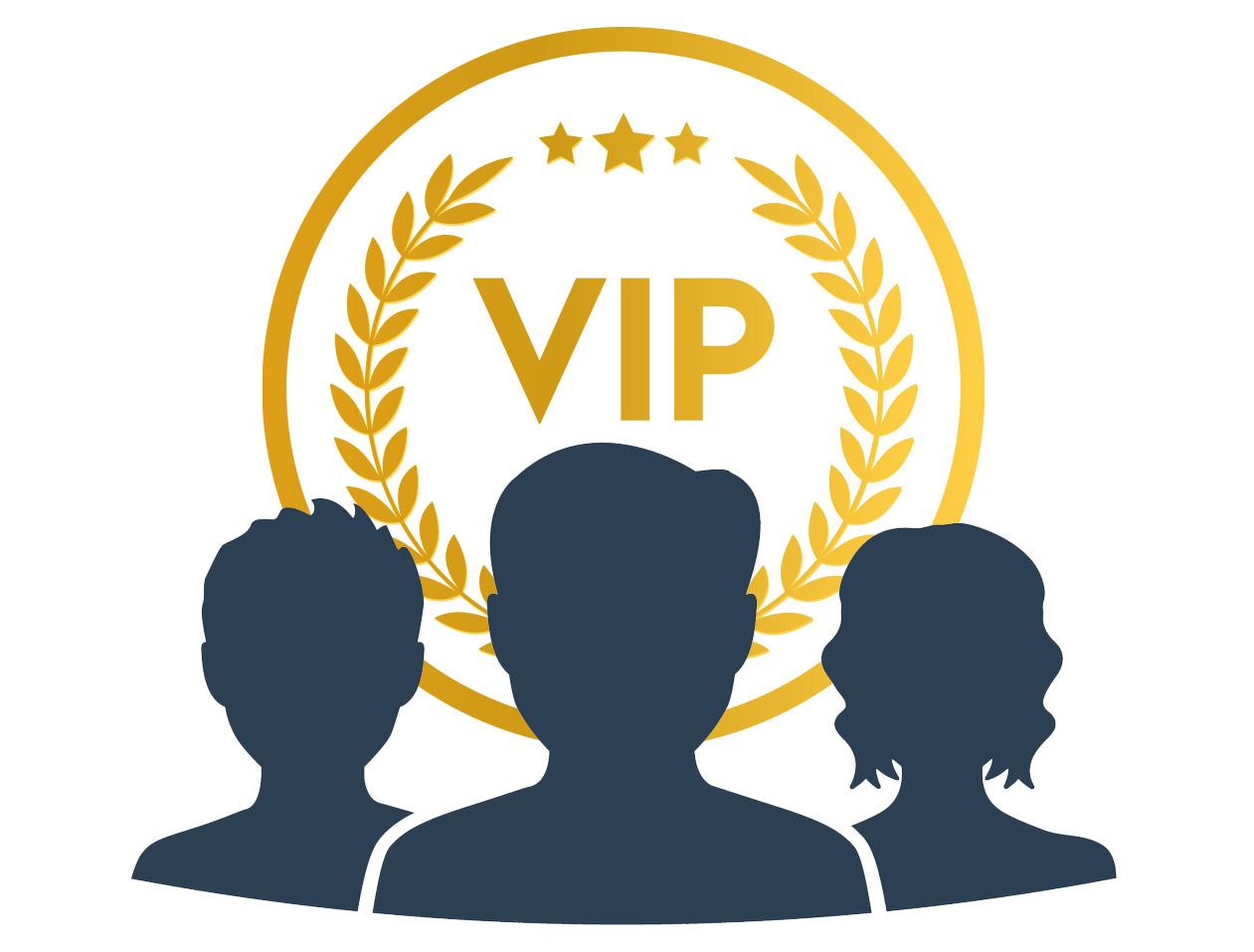 VIP PREPAREDNESS CONSULTATION