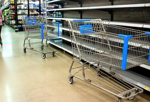 Empty shopping carts lined up against an empty shelf at the grocery store.