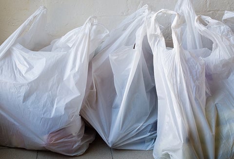 Plastic bags filled with groceries, lined up against a wall.