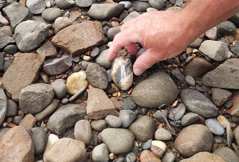 A person picking up stones.