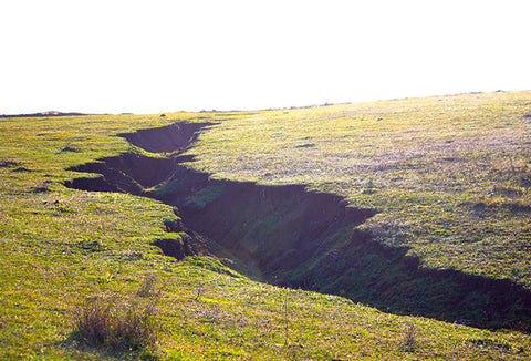 A wide grassy field with a large ditch separating the middle.