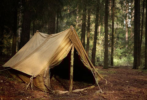 A makeshift tent shelter standing in the woods.