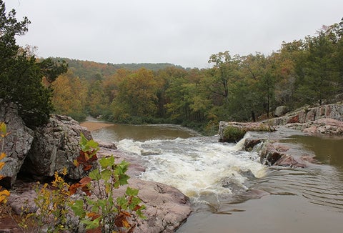 A rushing river with greenery surrounding it.
