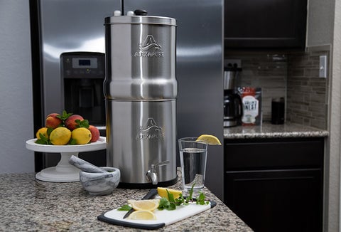 The Alexapure Pro sitting on a kitchen countertop.
