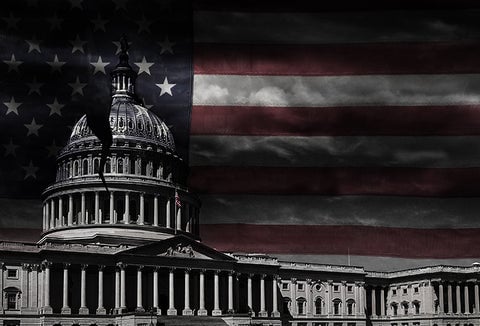 A capitol building with a crack through it, the American Flag behind it.