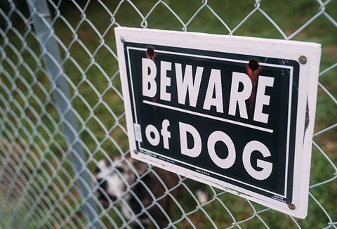 A chain link fence with a large "Beware of Dog" sign attached.
