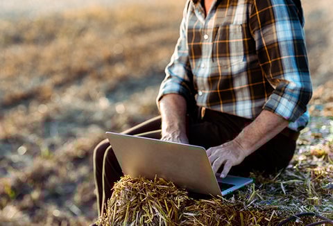 A farmer sitting on a hay bale, using their laptop to help manage their farm.
