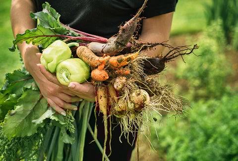 A person outdoors holding a large, colorful harvest of fruits and vegetables.