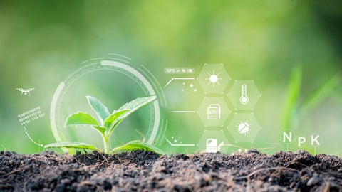 AI and farming