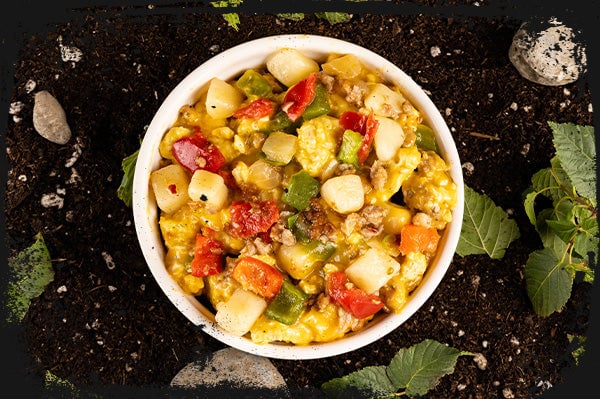 A white bowl filled with scrambled eggs and vegetables.