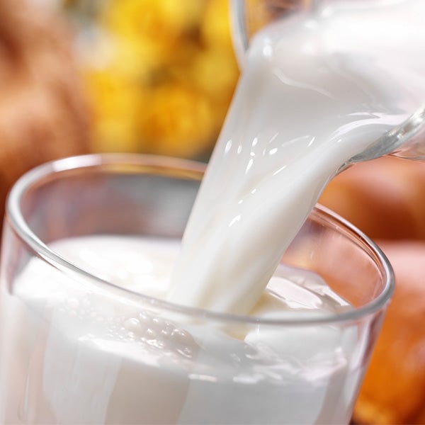 Settler's Whey Powdered Milk