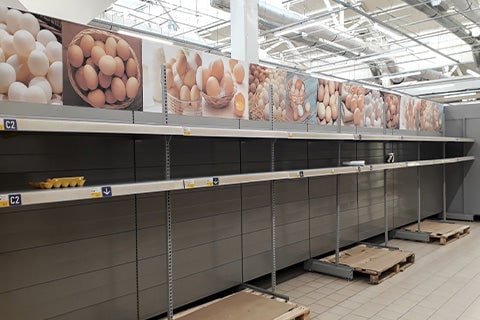 A clean, empty factory where egg cartons are filled.