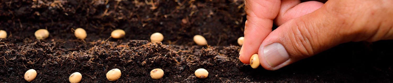 10 Most-Read Survival Scout Articles of 2023