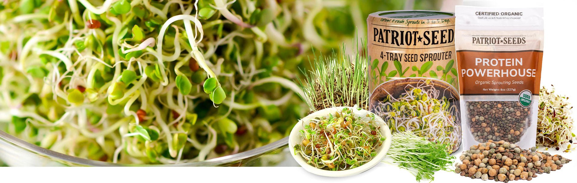 Sprouting Seeds & Microgreens - potent sources of many vitamins, minerals, amino acids
