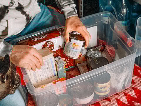Cans being stacked inside a clear plastic bin.