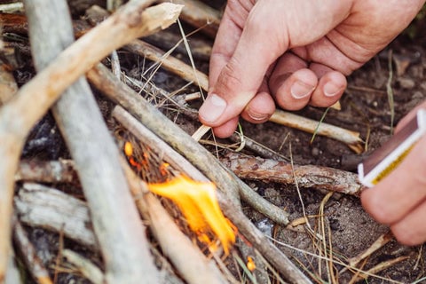 Someone using a match to light a fire on a pile of sticks.