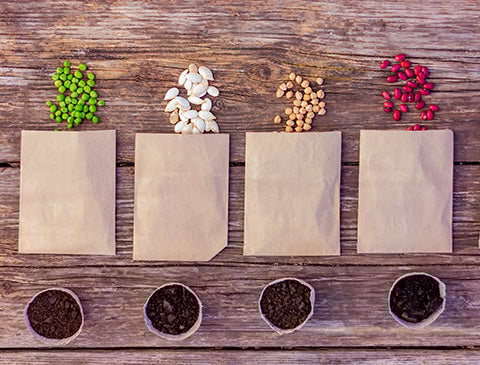 Seed packets-seed library